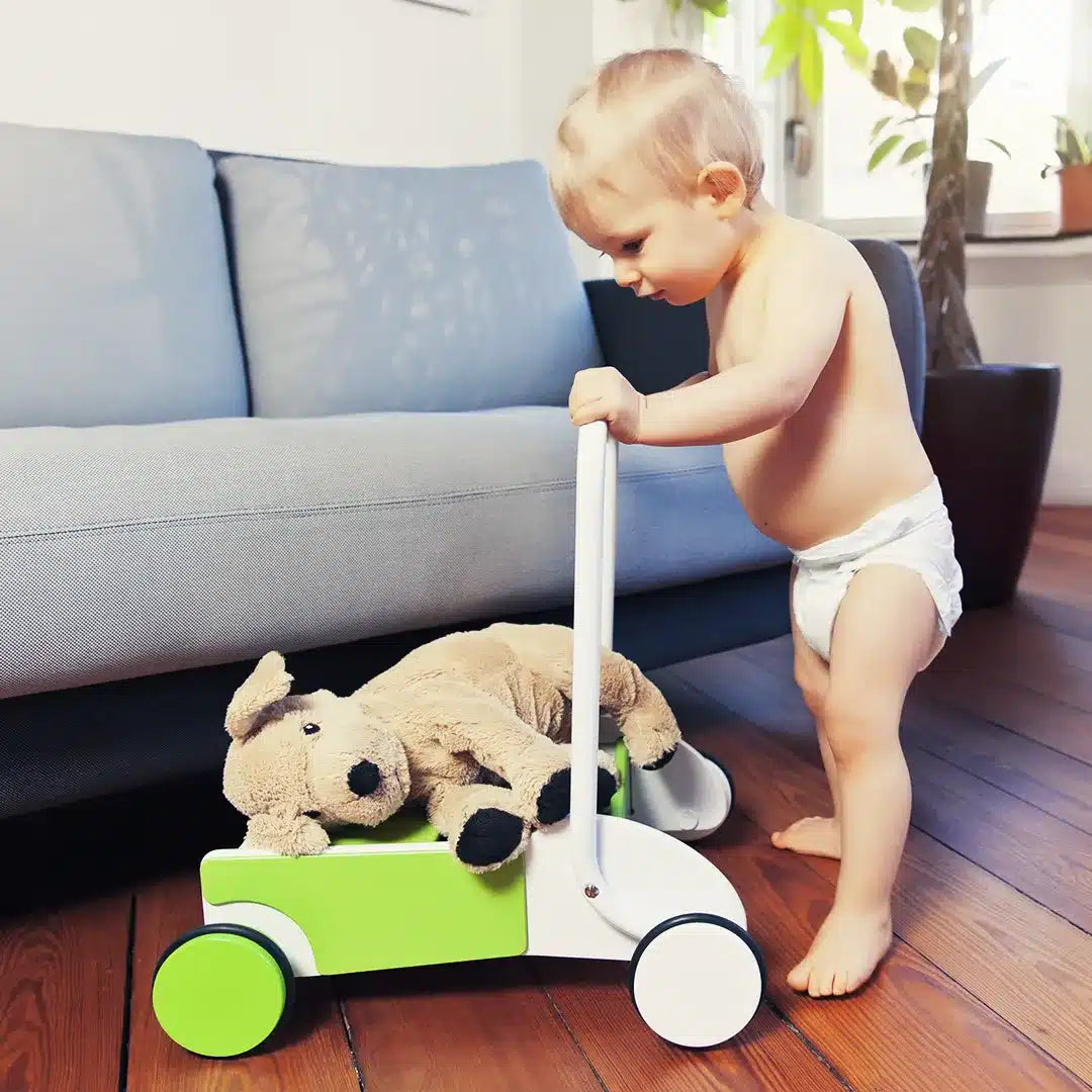 Chariot de Marche pour Bébé