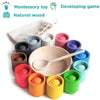 Montessori Wooden Toy Ball and Sorting Cup