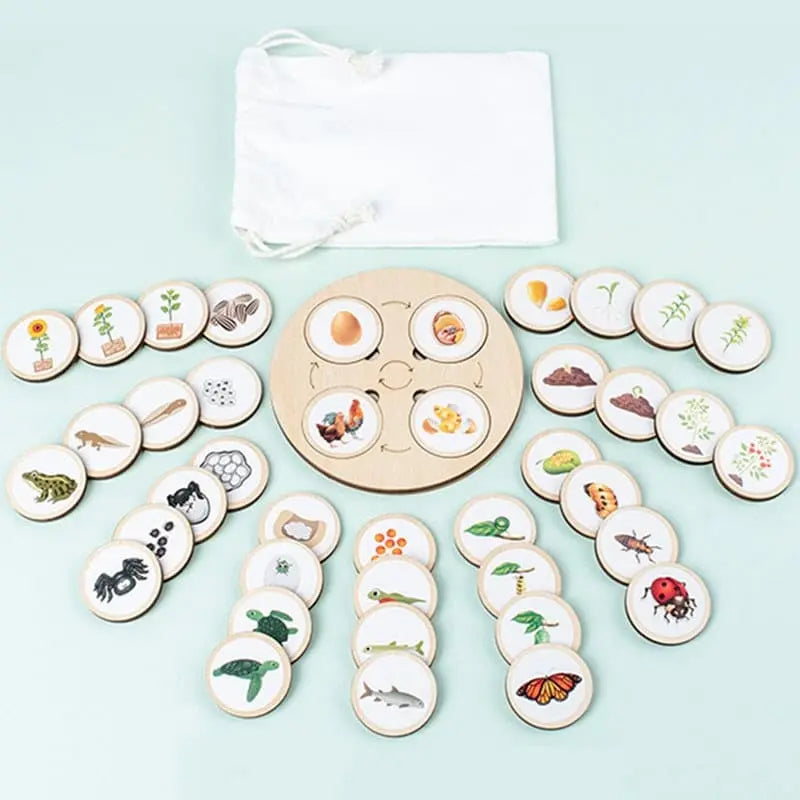 Nature Evolution Game