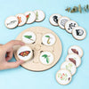 Nature Evolution Game