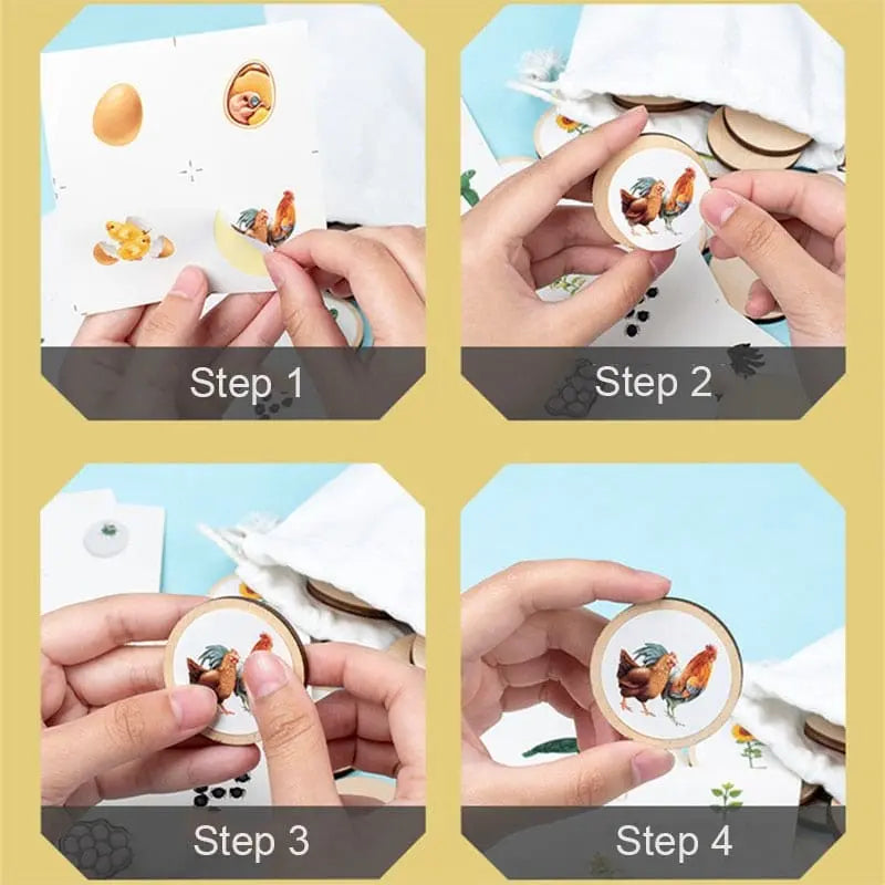 Nature Evolution Game