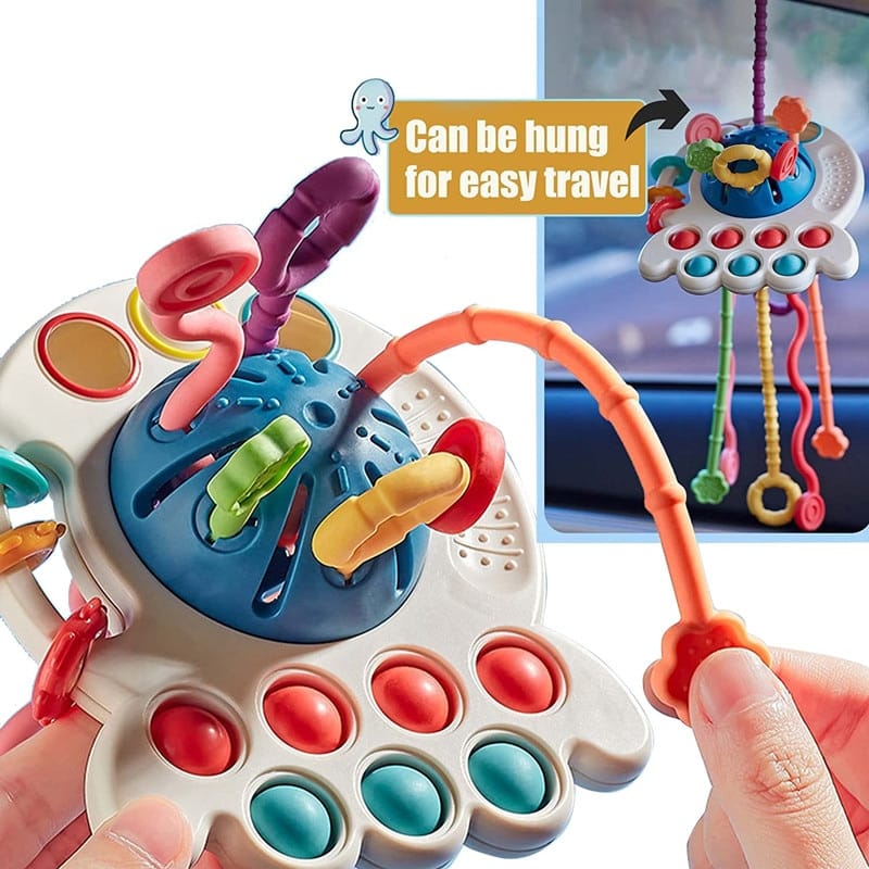 Baby Sensory Toy