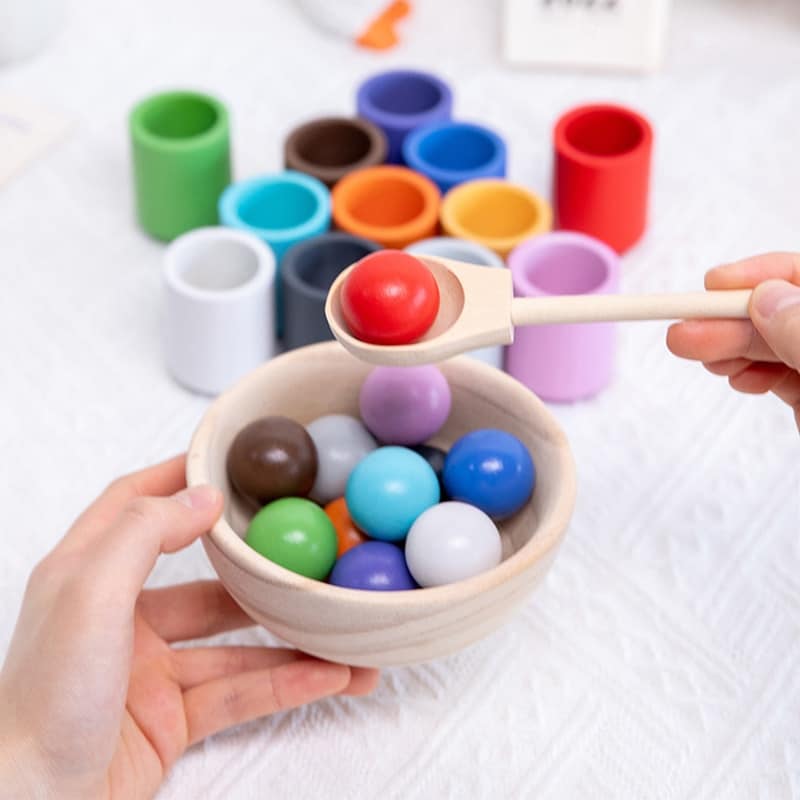 Montessori Wooden Toy Ball and Sorting Cup