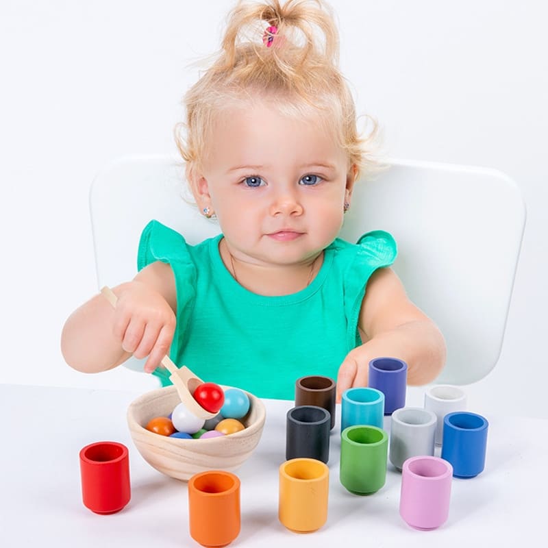 Montessori Wooden Toy Ball and Sorting Cup